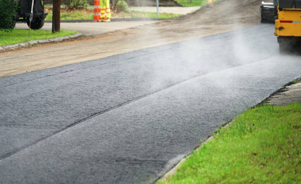 Best Decorative Driveway Pavers  in Lealman, FL